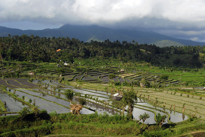 Indonesie, Bali
