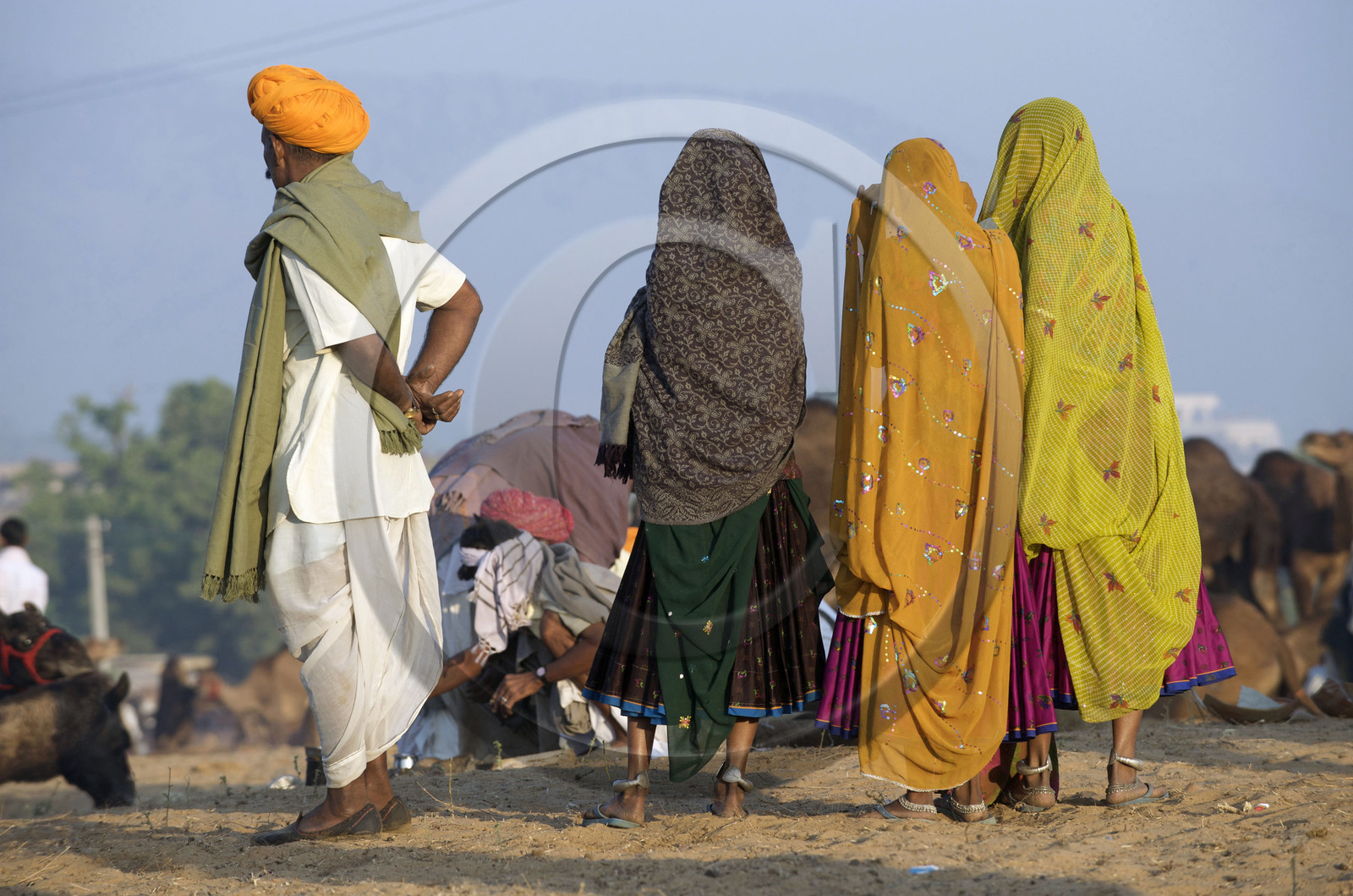 Inde, Pushkar