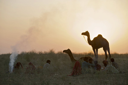 Inde, Pushkar