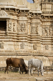 Inde, Chittorgarh