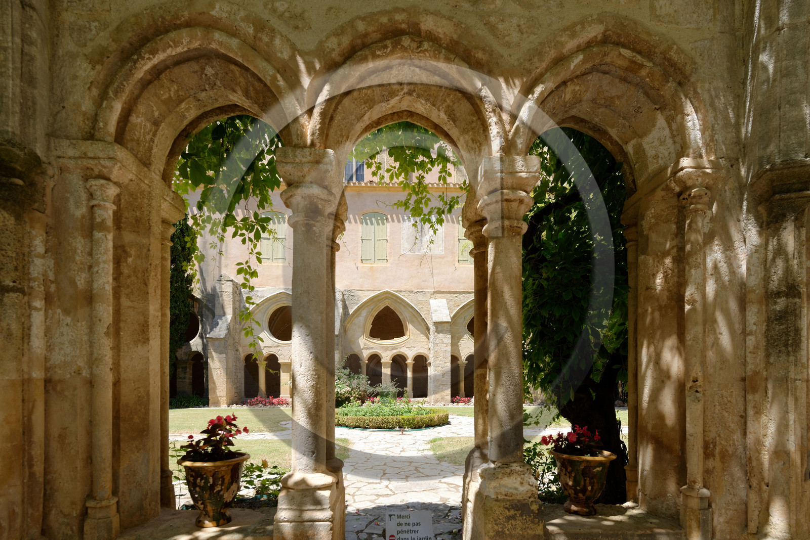 France, Valmagne