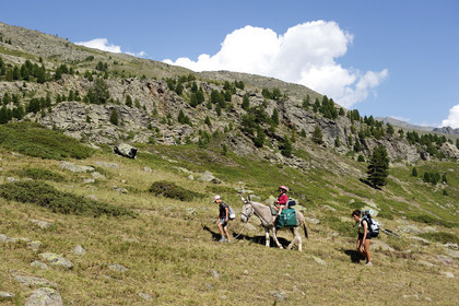 France, Alpes