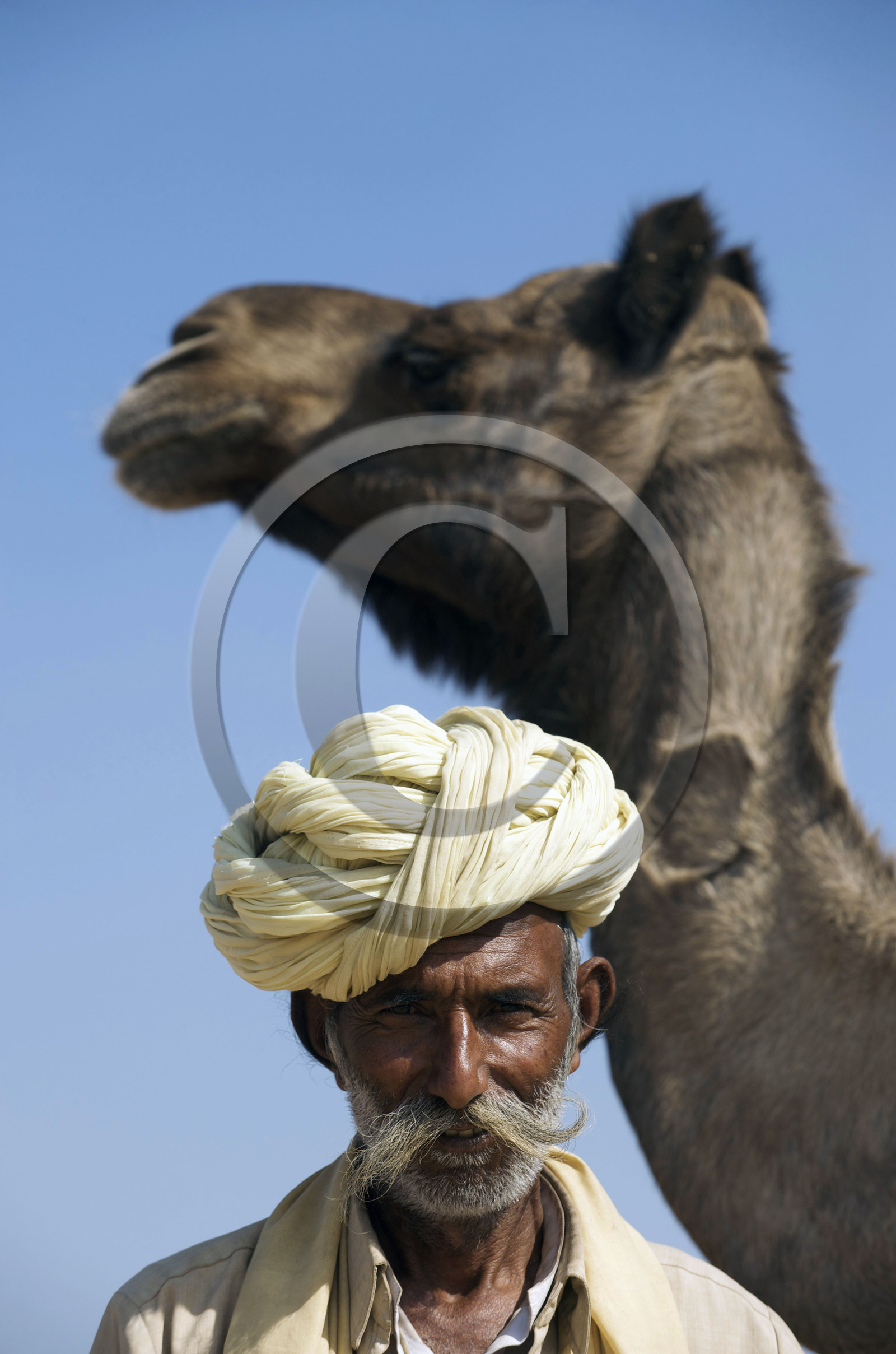 Inde, Pushkar