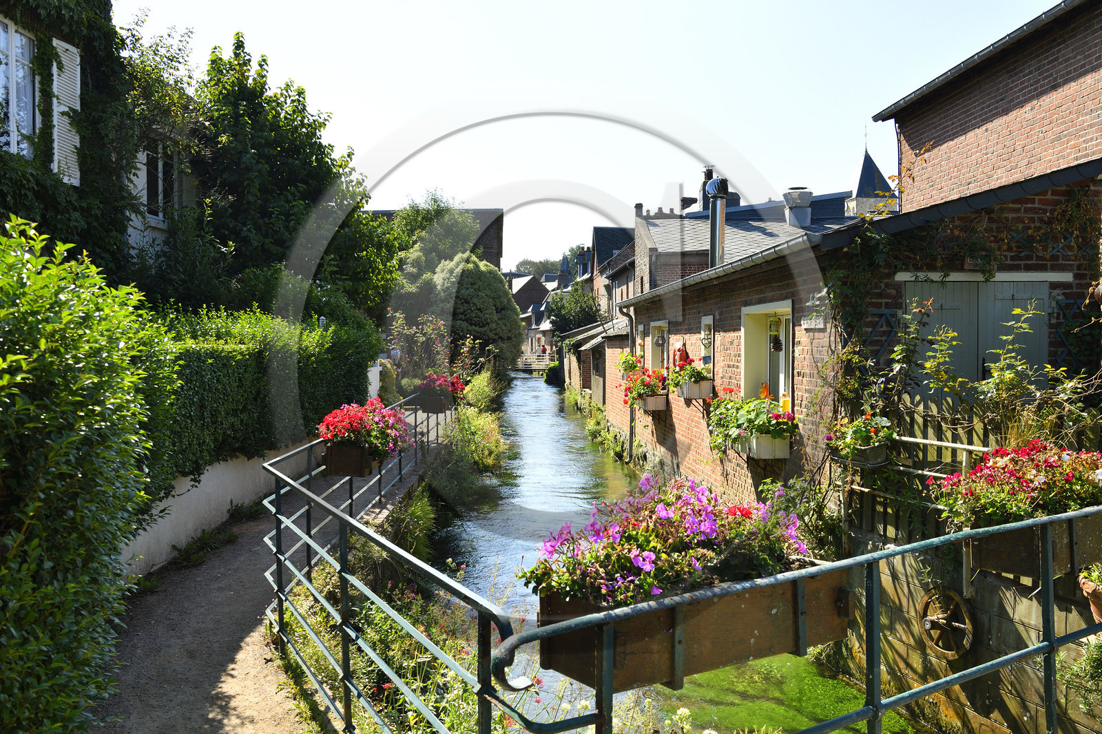 France, Veules