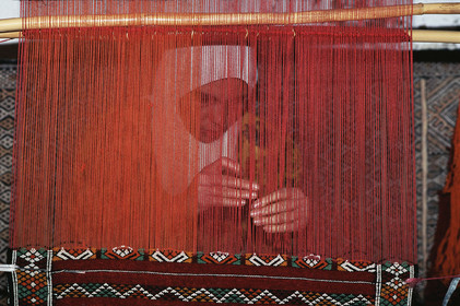 MAROC