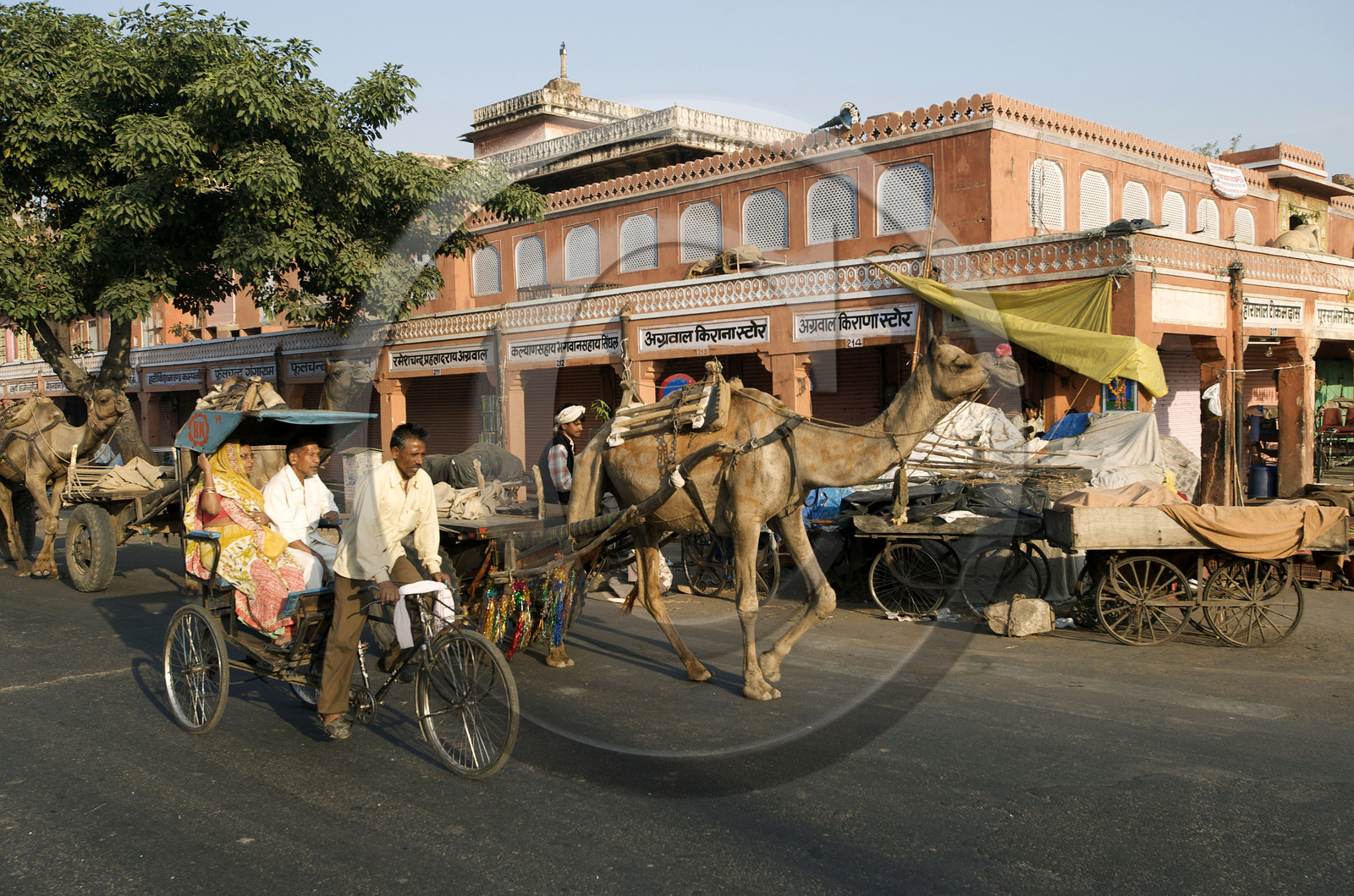 Inde, Jaipur