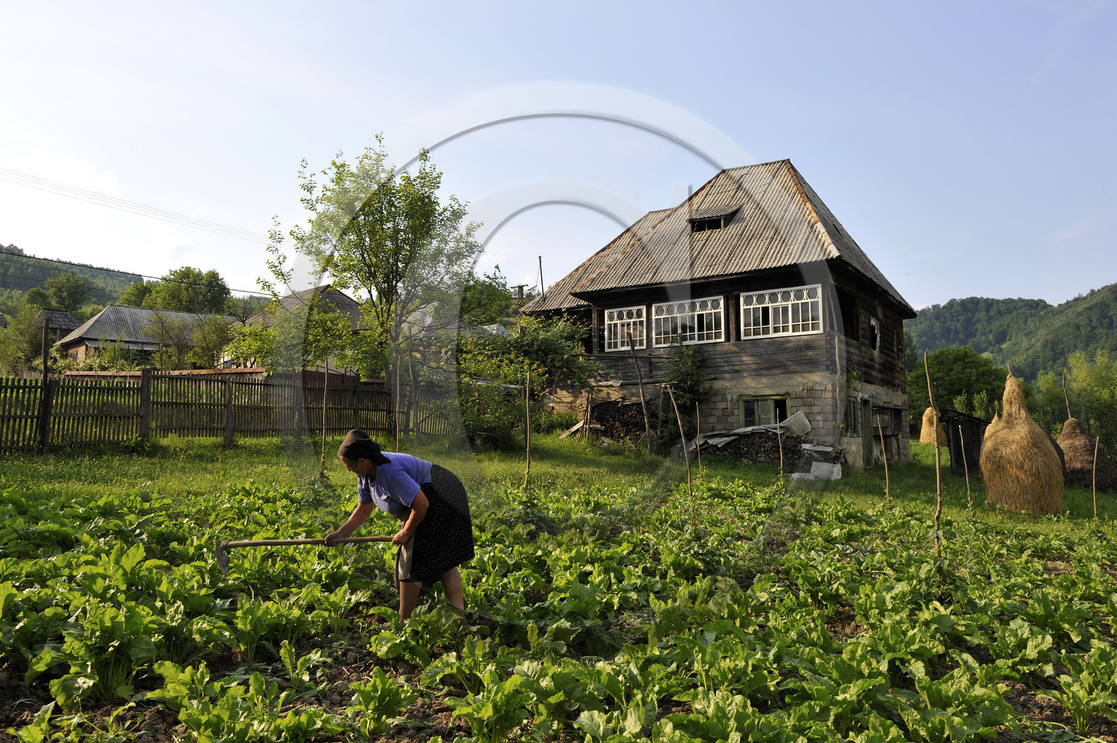 Roumanie, Maramures