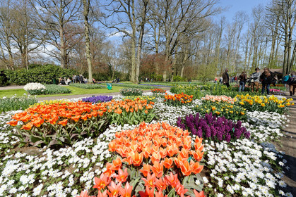 Hollande, Keukenhof