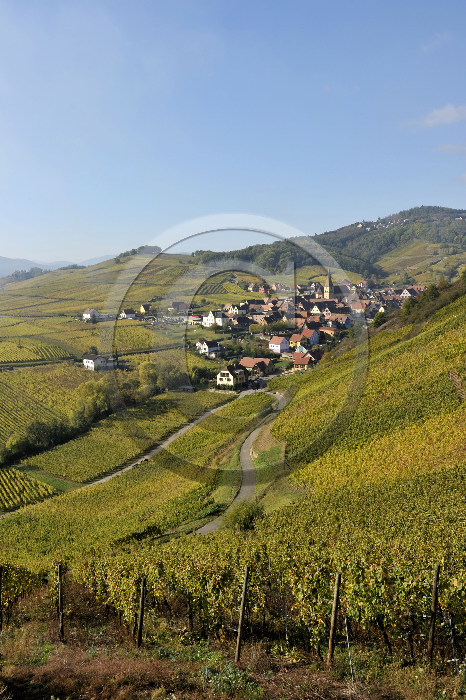 France, Niedermorschwihr