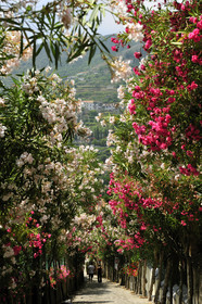 Italie, Amalfitaine