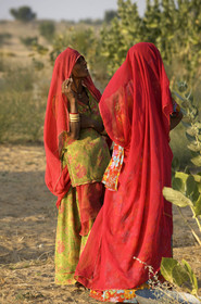 Inde, Rajasthan