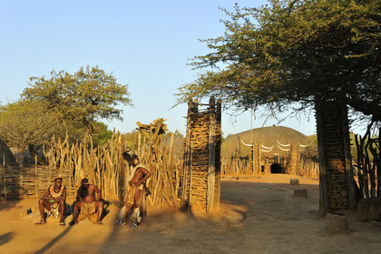 AFS, Shakaland