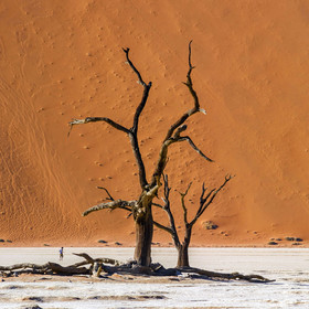 Namibie, Sossusvlei