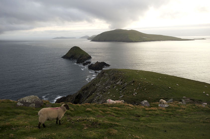 Irlande, Dingle