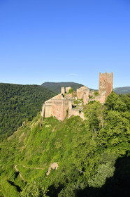 France, Ribeauville