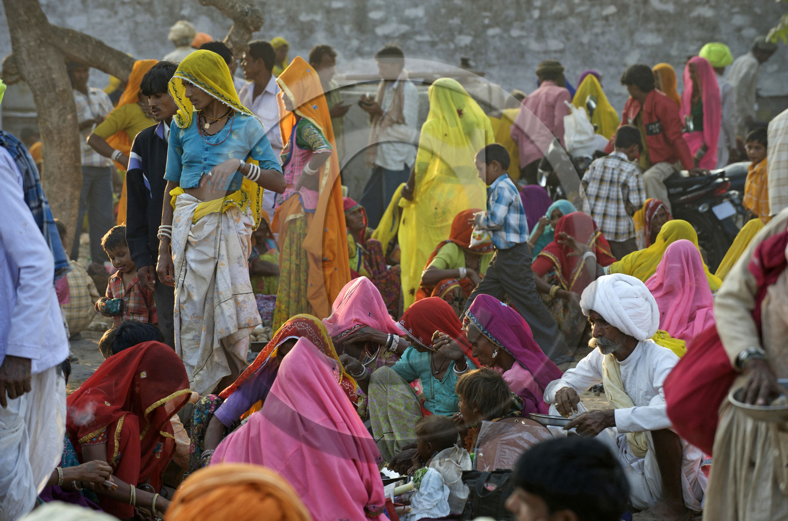 Inde, Pushkar
