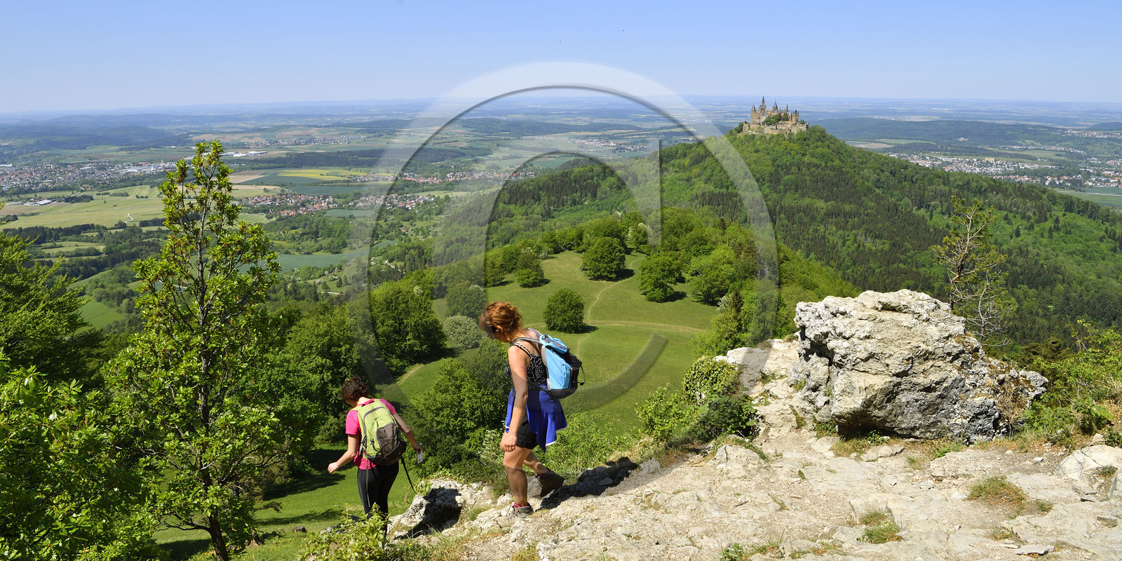 Allemagne, Hohenzollern