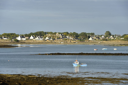 France, Lilia