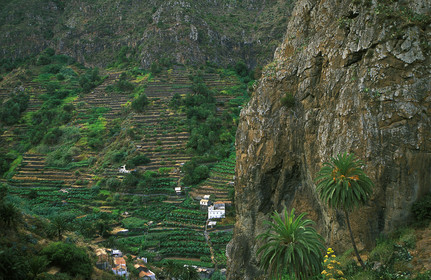 Canaries. Espagne