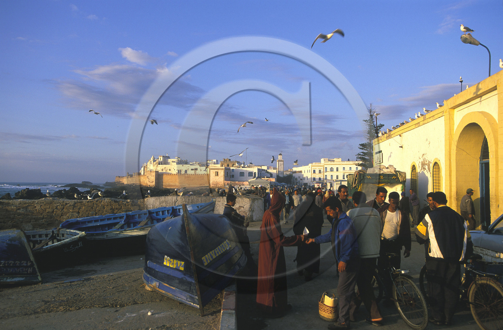 MAROC   ESSAOUIRA.LE PORT