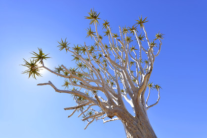 Namibie, Fish River Canyon