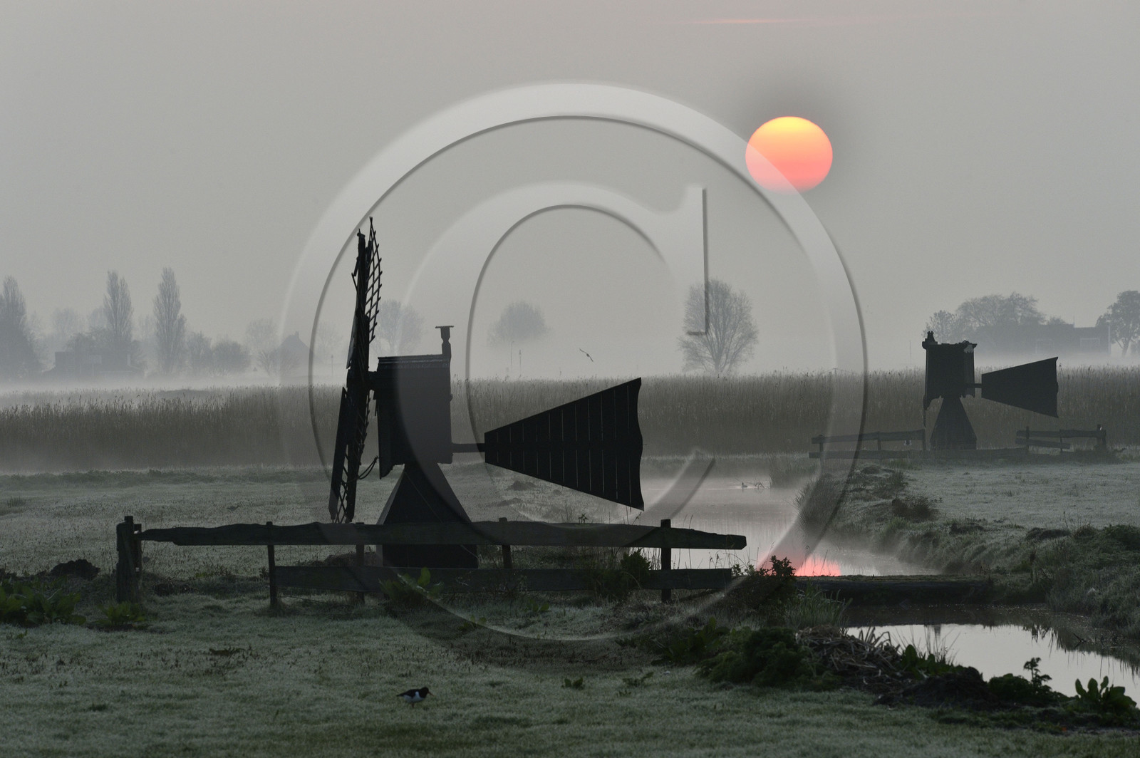 Hollande, Zaanse Schans