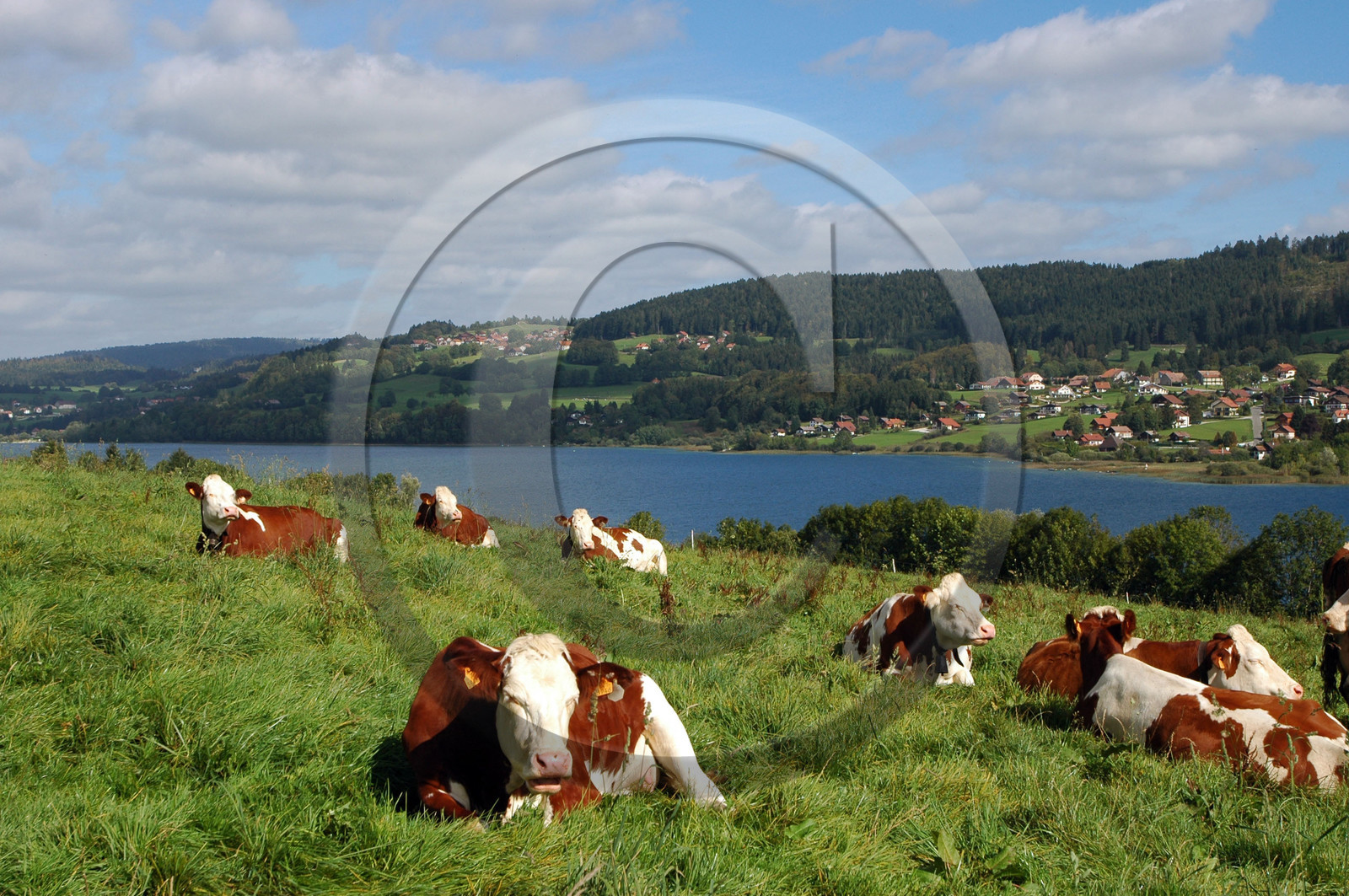 Franche-Comte, France