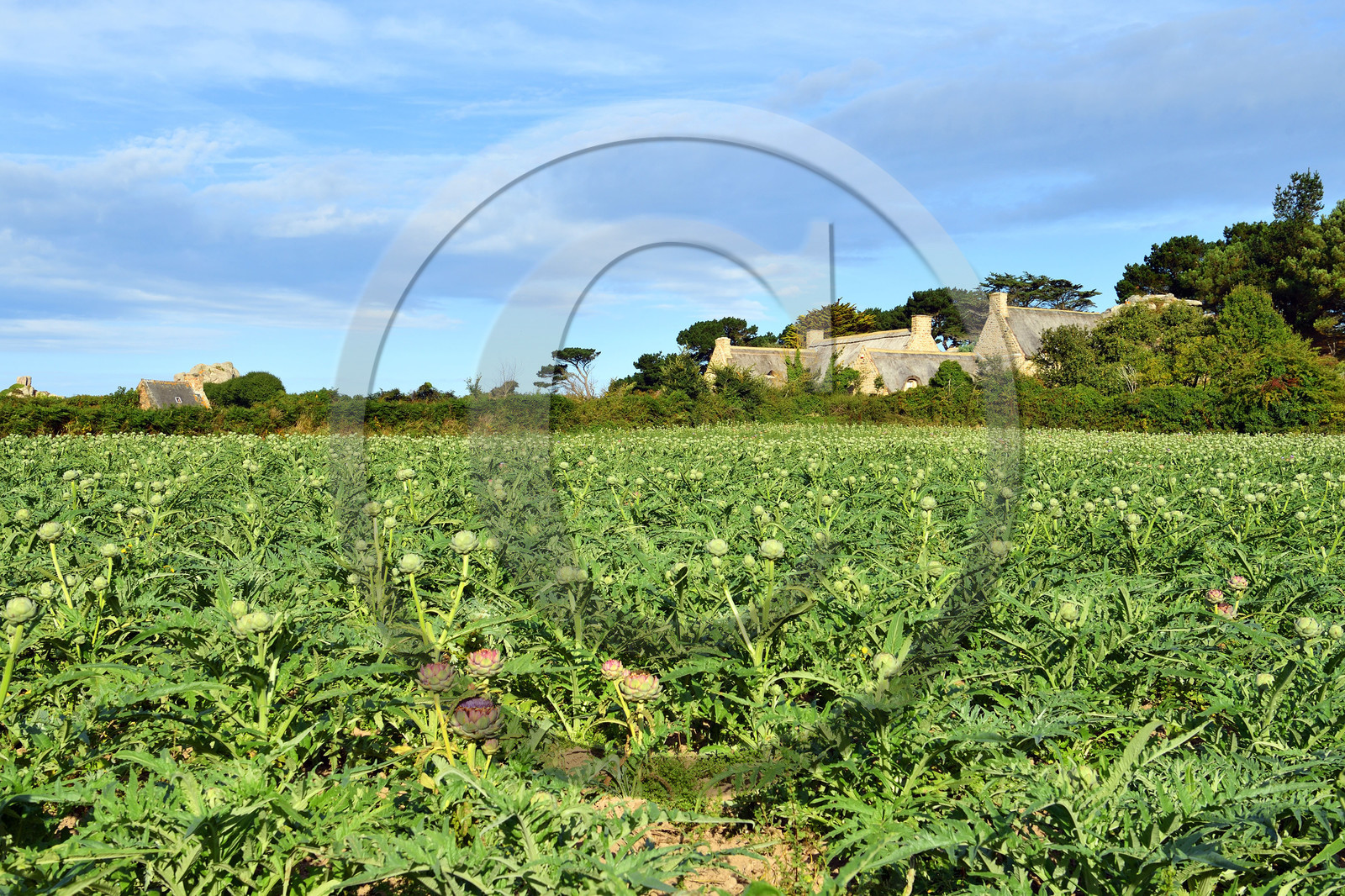 France, Plougrescant