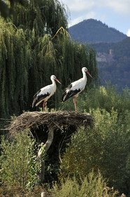 France, Alsace