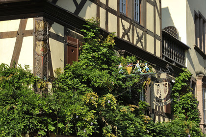 France, Riquewihr