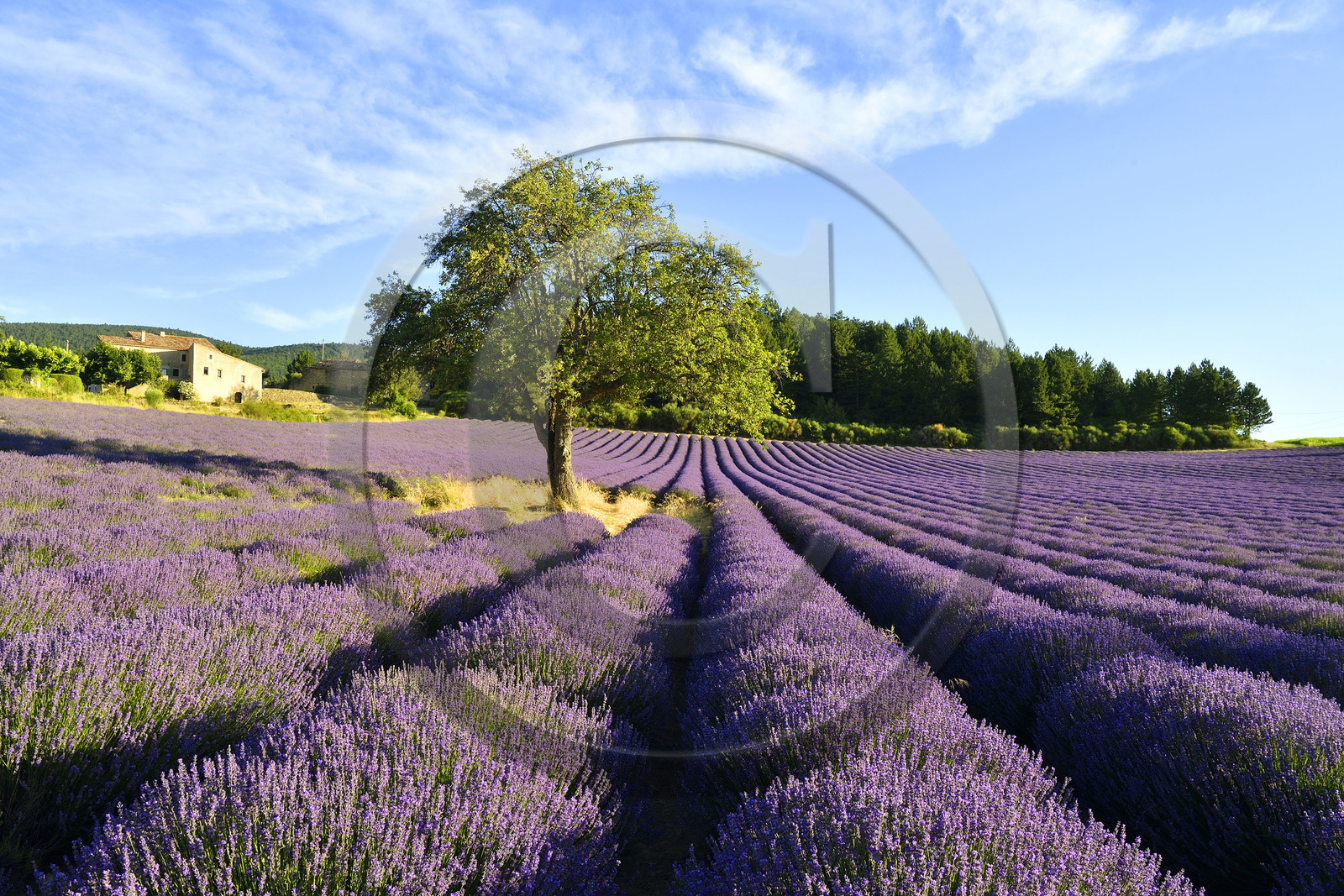 France, Sault