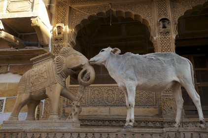 Inde, Jaisalmer