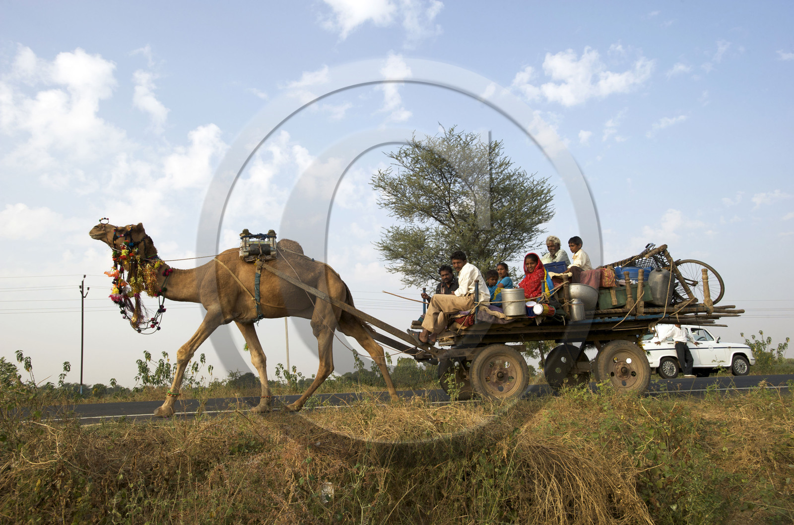 Inde, Gujarat
