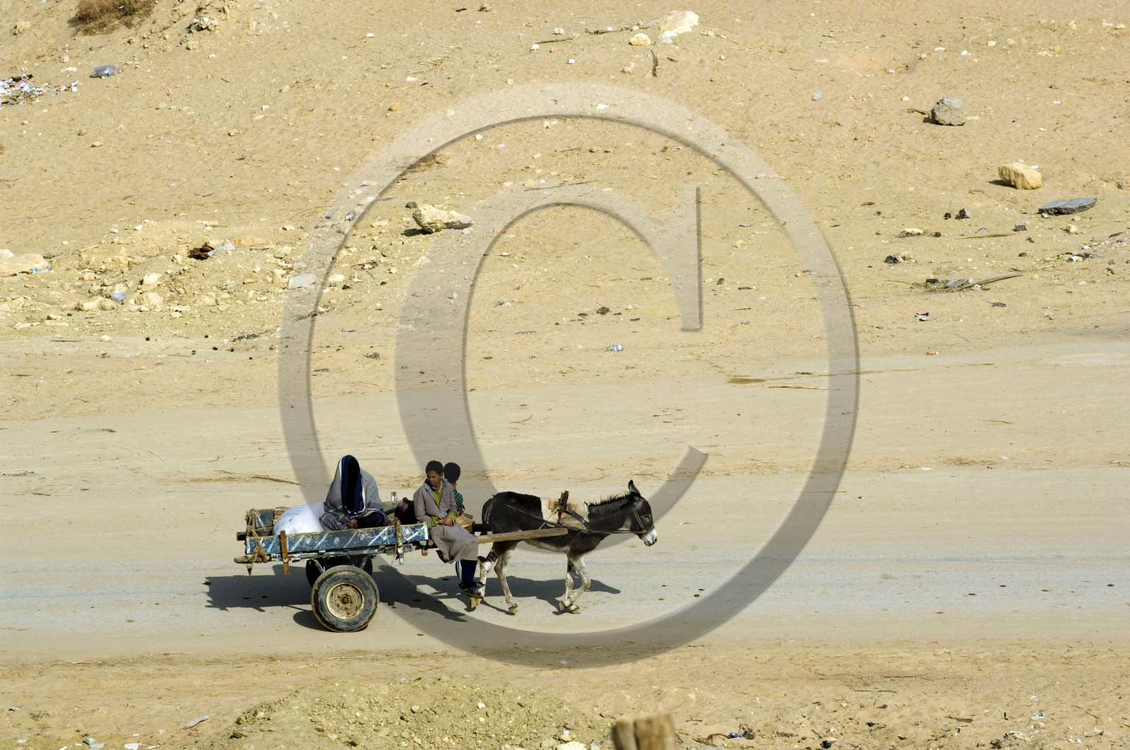 Egypte, Siwa