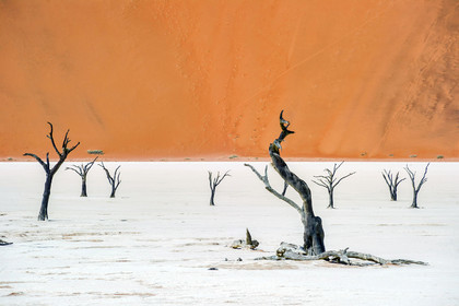 Namibie, Sossusvlei