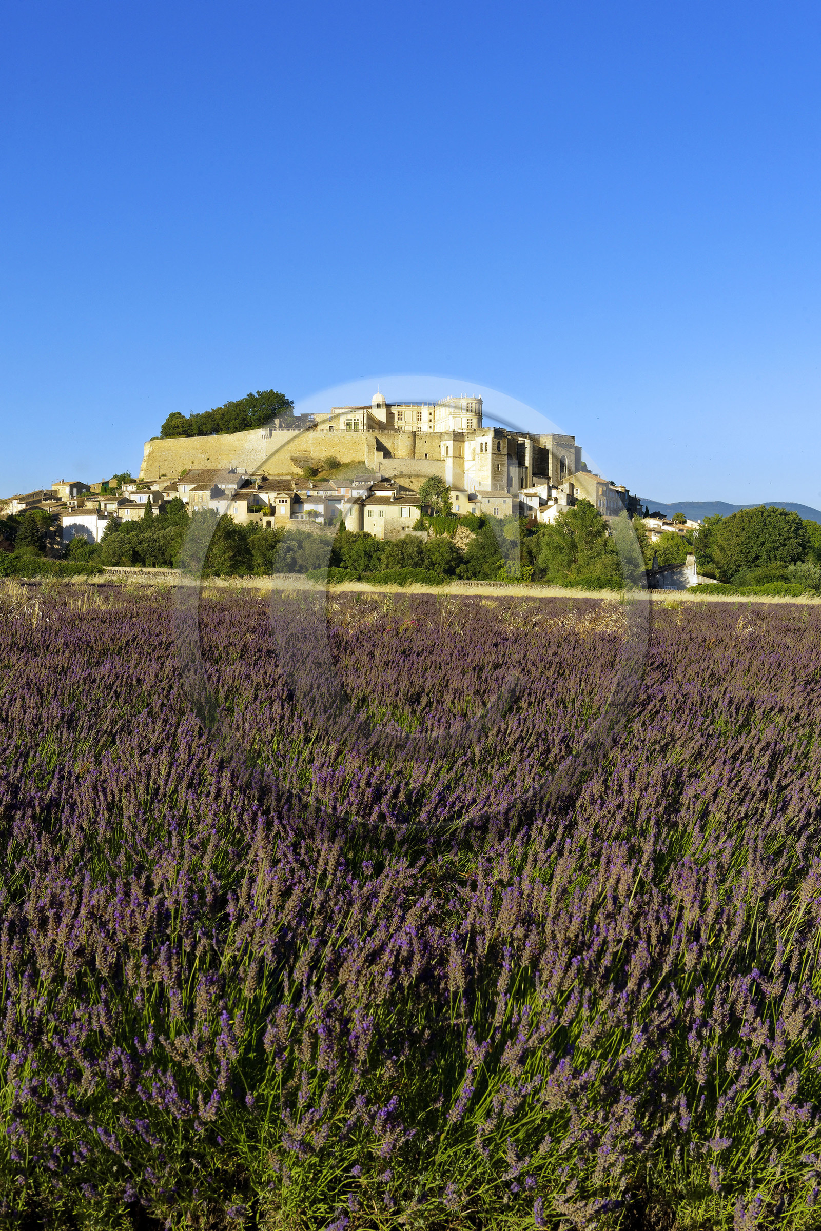 France, Grignan