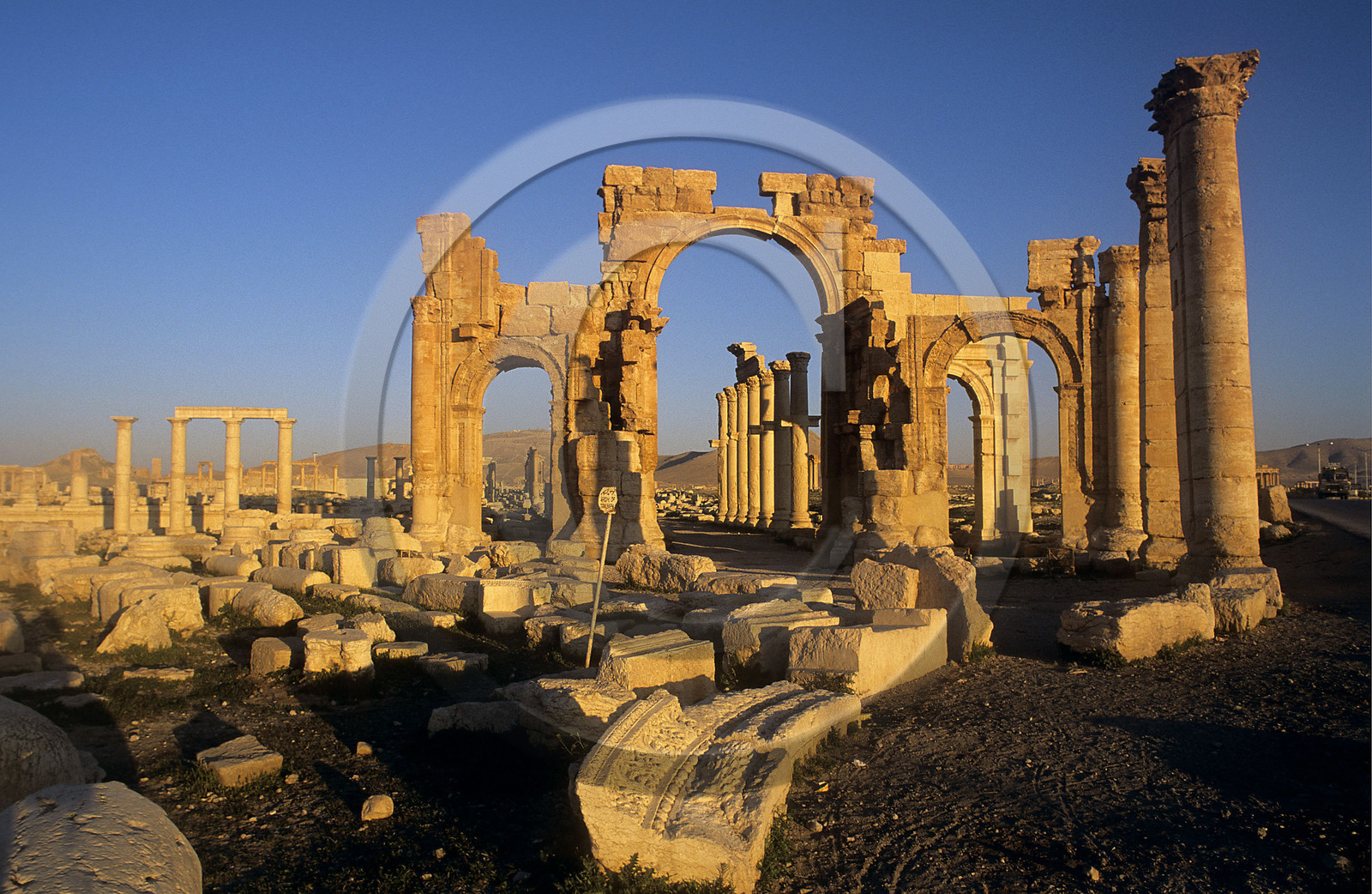 Palmyre, Syrie