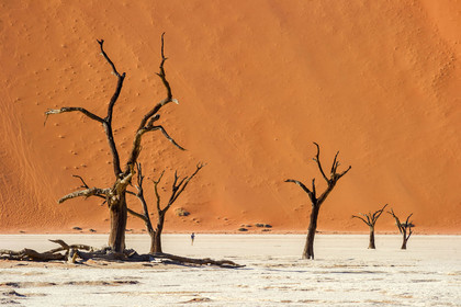 Namibie, Sossusvlei