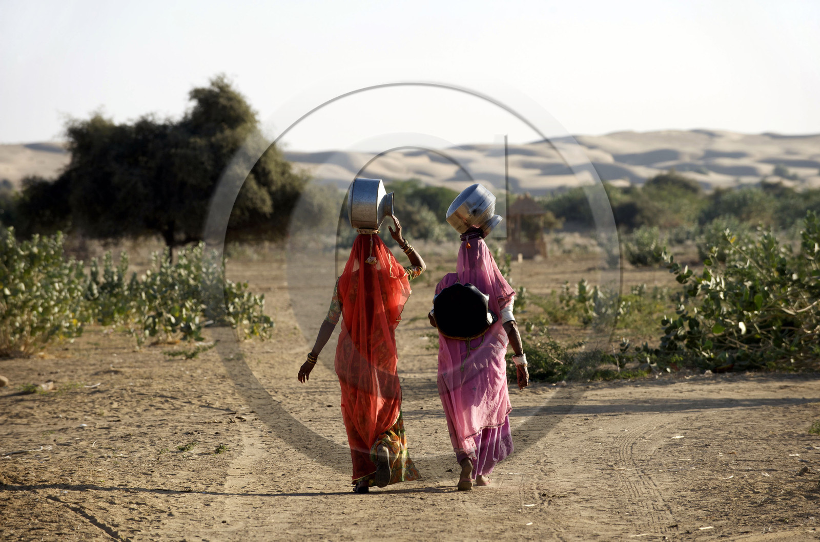 Inde, Jaisalmer