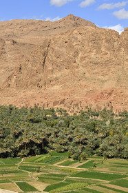 Maroc, Tineghir