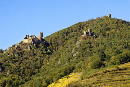 France, Ribeauville