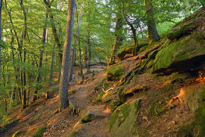 France, Fleckenstein