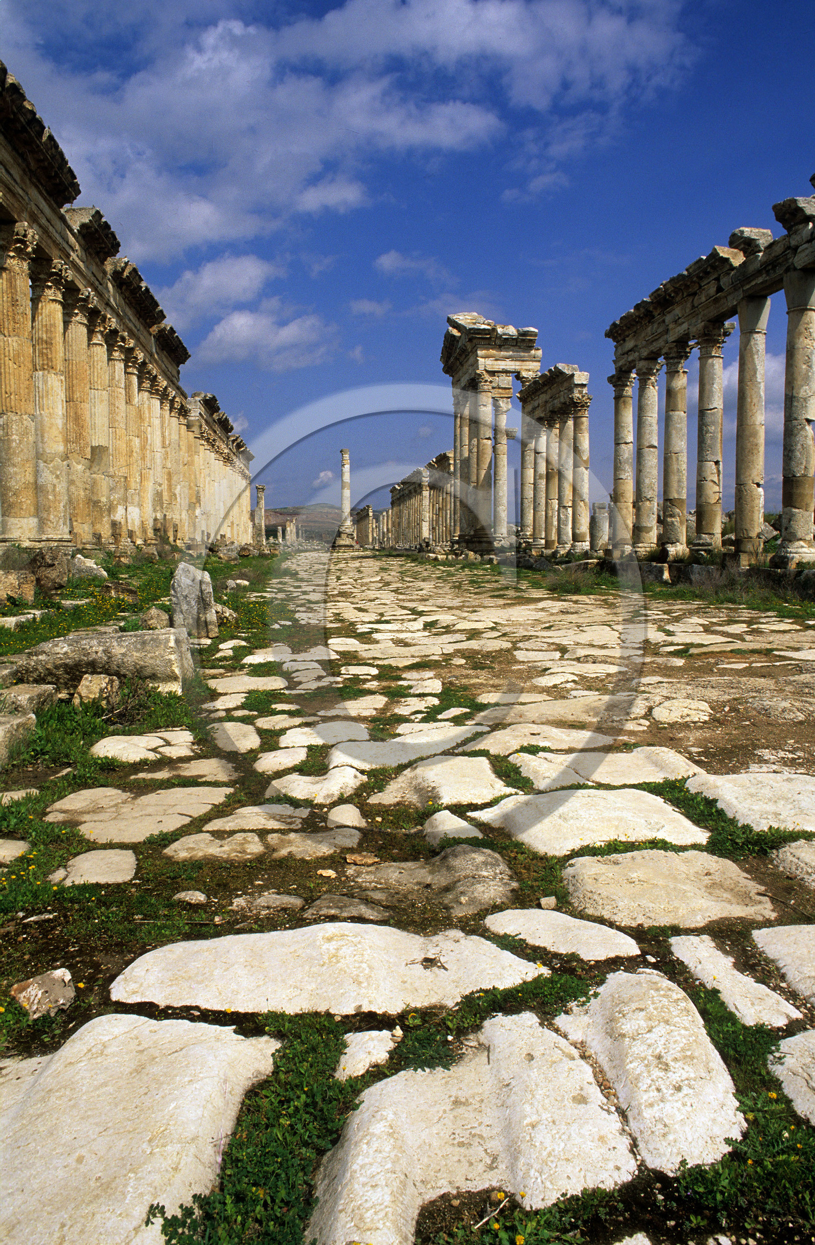 Syrie, Apamée