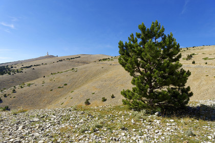 France, Ventoux