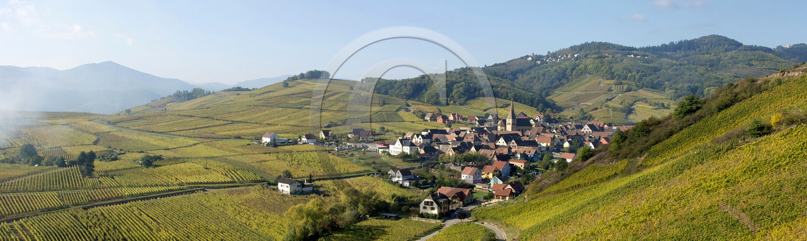 France, Niedermorschwihr