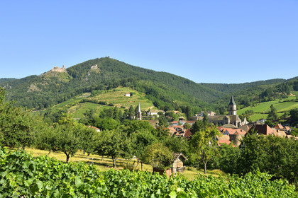 France,  Ribeauville