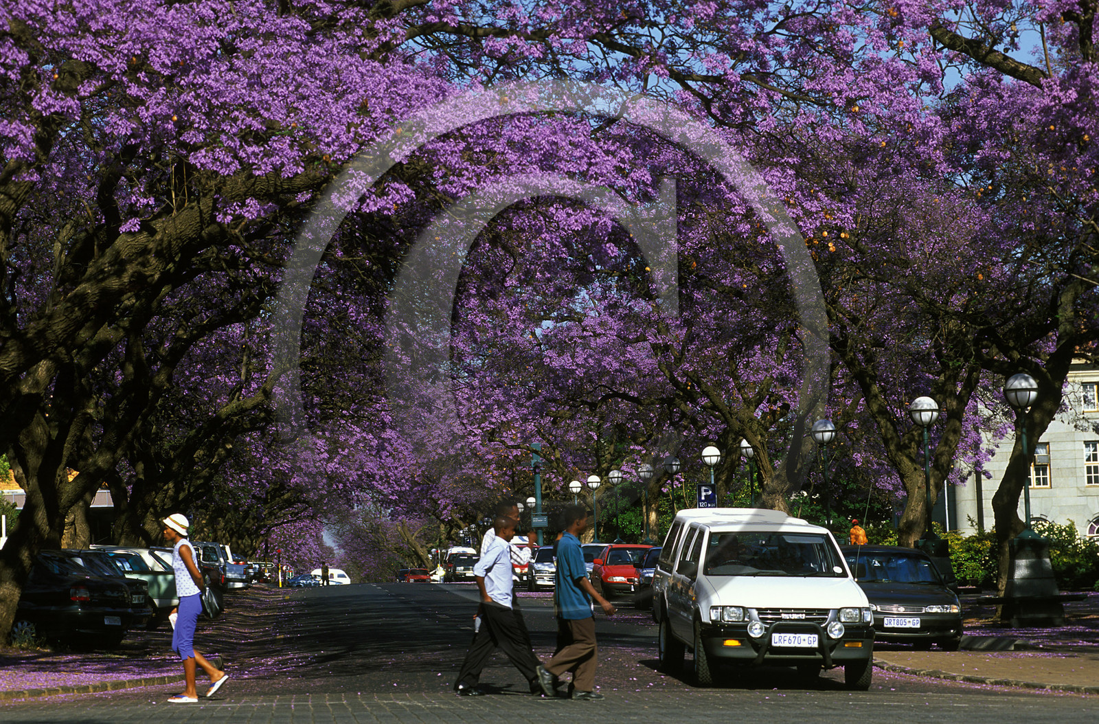 AFRIQUE DU SUD