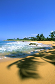 SRI LANKA