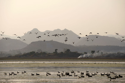 Inde, Udaipur