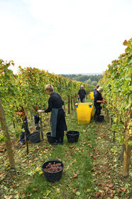 France, Dambach la Ville